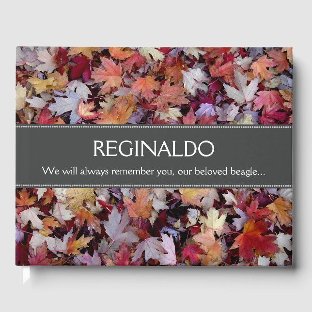 Caída del otoño deja un libro de Mascota memorial (Anverso)