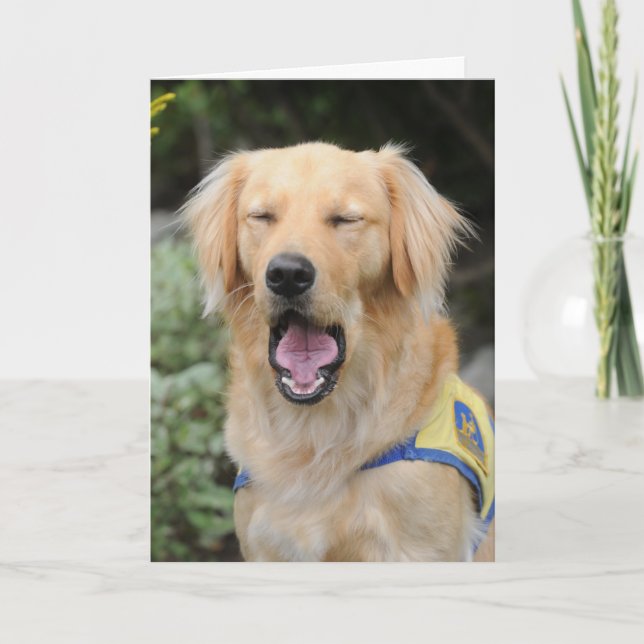 Caída en allí tarjeta de felicitación (Anverso)