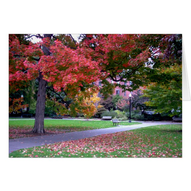 Caída en el jardín público (Anverso (Horizontal))