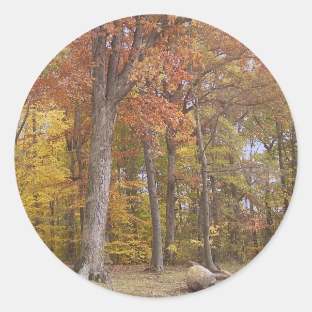 Caída en el Pegatina Park (Anverso)