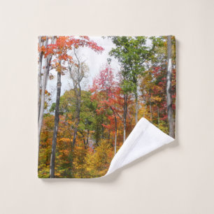 Caída en la colorida fotografía de otoño en el bos