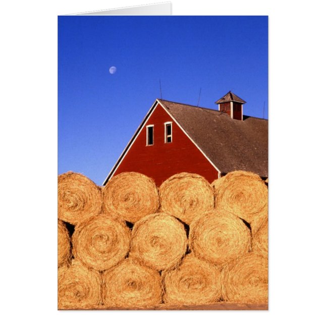 Caída en la granja (Frente)