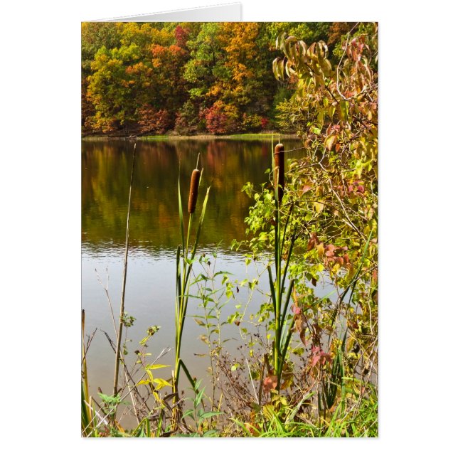 Caída en la granja (Frente)