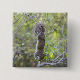 ¡Caída encendido! Botón del instinto