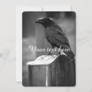 Caída Encontró Una Pluma