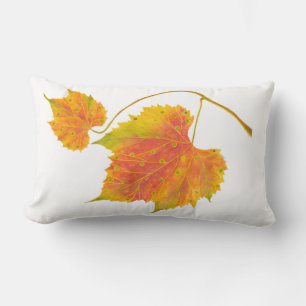 Caída espontánea en una almohada lumbar