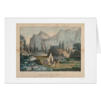 Caída nupcial del velo, Yosemite (1303)