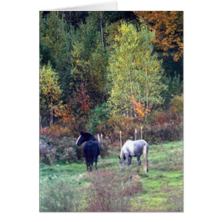 Caída que pasta - granja Percherons de Ridge del