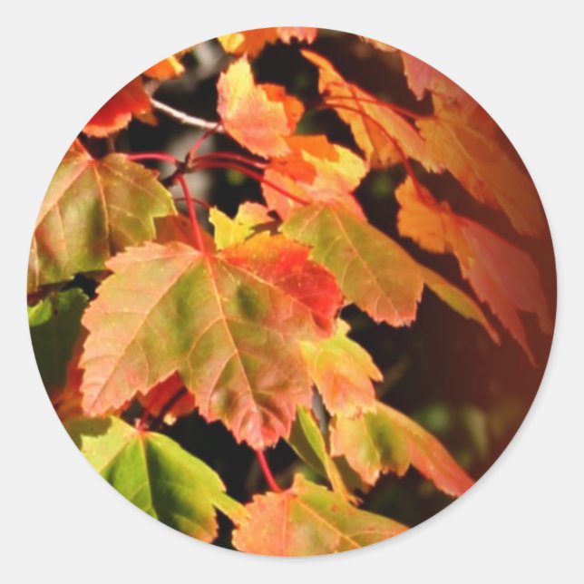 Caída Rusa En El Amor Boda Sello para sobres Pegat (Anverso)