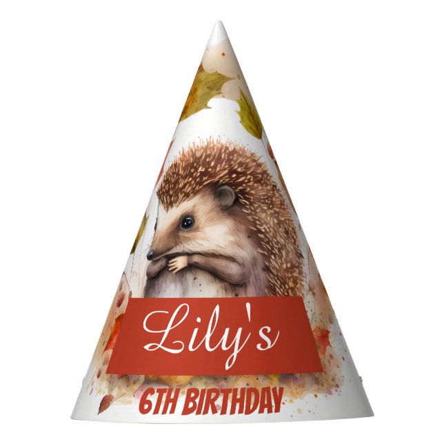 Caída Vibes hedgehog - Gorra del partido de cumple (Anverso)