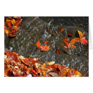 Caídas en cataratas en fotografía de otoño