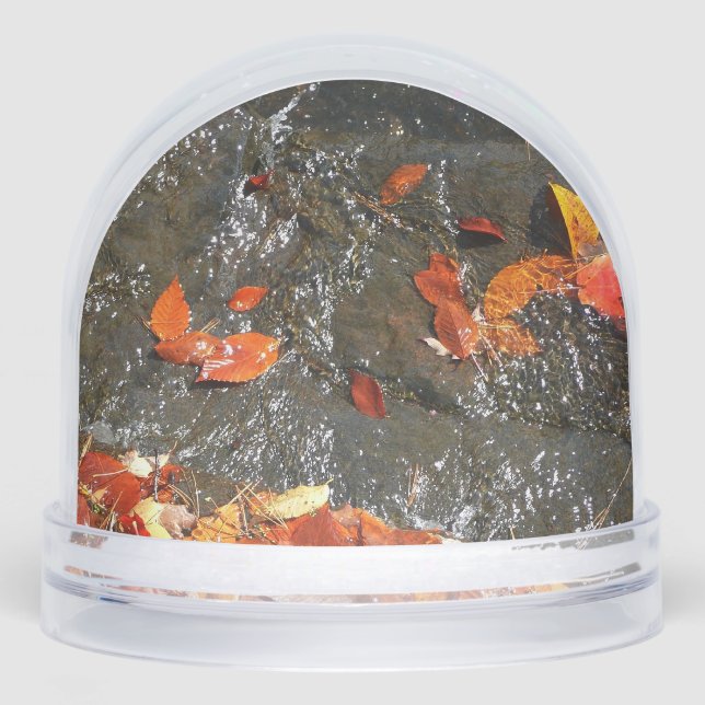 Caídas en cataratas en fotografía de otoño (Anverso)