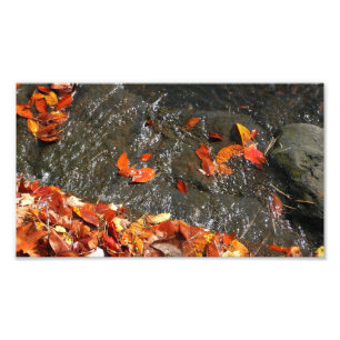Caídas en cataratas en fotografía de otoño