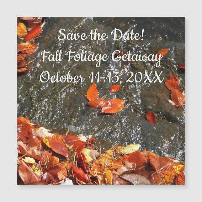 Caídas en cataratas en fotografía de otoño (Anverso)