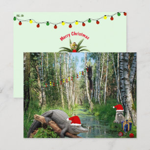 Caimán de pantano de Florida y Navidad de vida sil