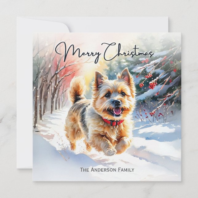 Cairn Terrier En Invierno De Nieve Feliz Navidad (Anverso)