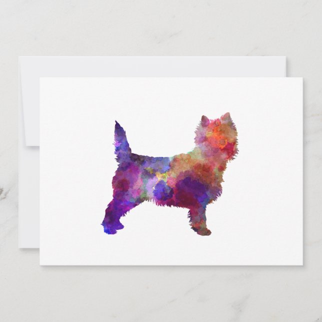 Cairn Terrier in watercolor (Anverso)