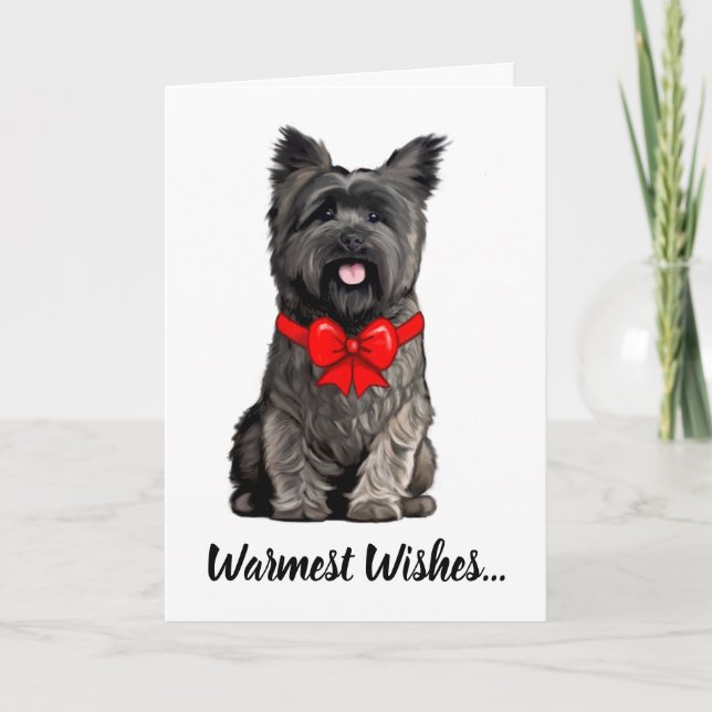 Cairn Terrier usa una tarjeta de compa de Navidade (Anverso)