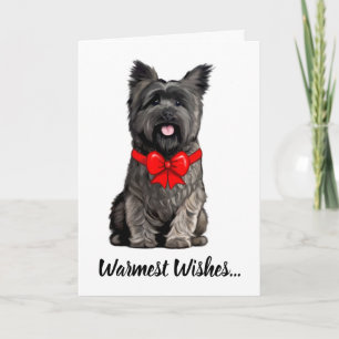Cairn Terrier usa una tarjeta de compa de Navidade