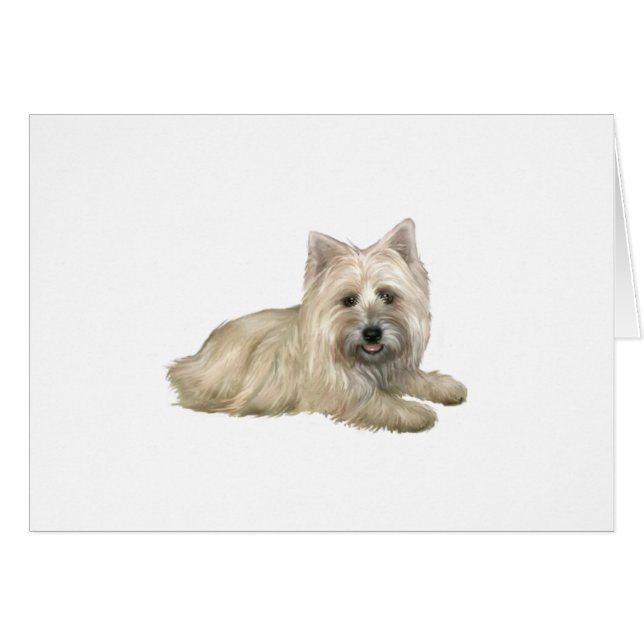 Cairn Terrier (Wheaten) - acostado (Anverso (Horizontal))