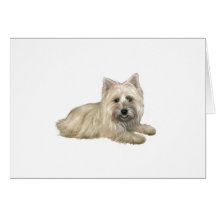Cairn Terrier (Wheaten) - boca abajo
