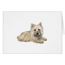 Cairn Terrier (Wheaten) - boca abajo