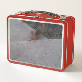 Caja de almuerzo de ardilla