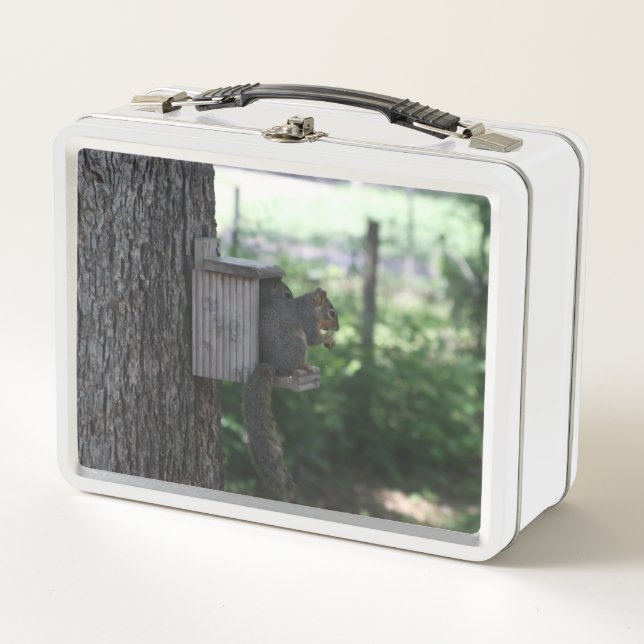 Caja de almuerzo de ardilla (Anverso)