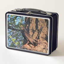 Caja de almuerzo para aves