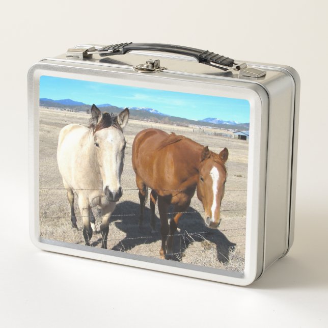 Caja de almuerzo para caballos (Anverso)