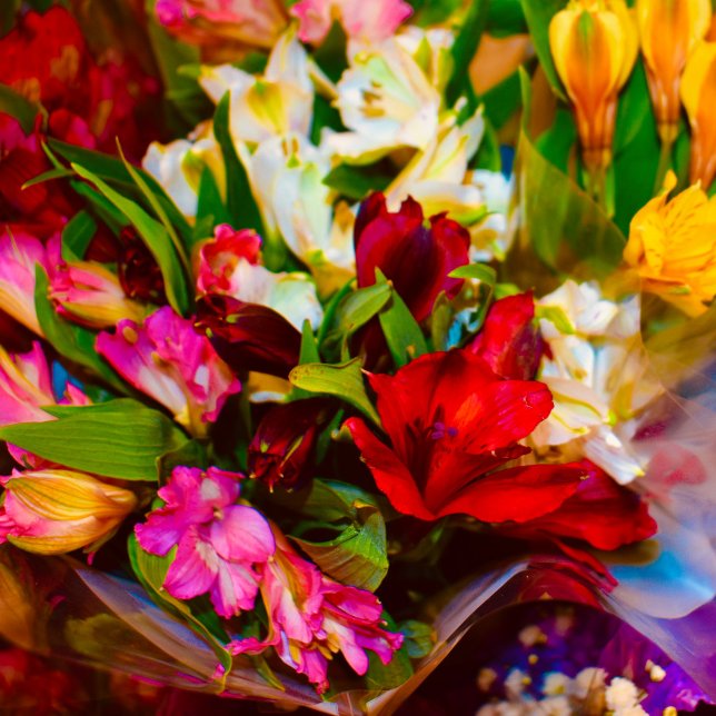 caja de almuerzos para caballos (floral beauty)