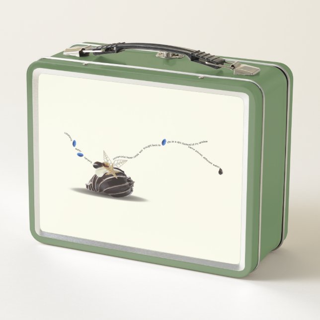 Caja de arte costero con poema de conchas de la vi (Reverso)