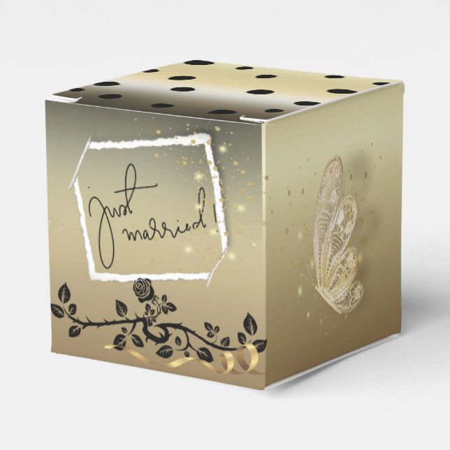 Caja de cambios para recién (Costado Anverso)