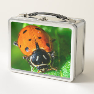 Caja de comida de metal con mariquita Diseño de