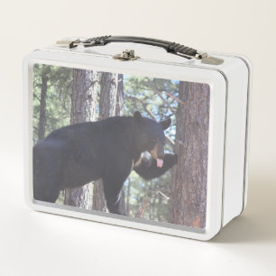 Caja de Comida de Oso Negro