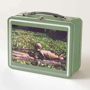Caja de comidas de sirena de Fiyi por Juan Cabana