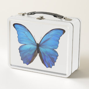 Caja de comidas - Mariposa morfo azul