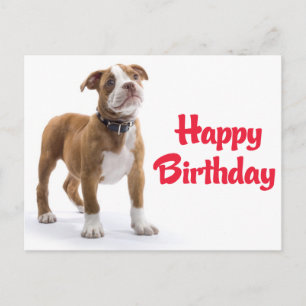 Caja de cumpleaños cachorro perro Boxer Tarjeta po