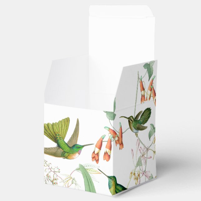 Caja de Favor de los Humingbirds de Goulds (Abierto)
