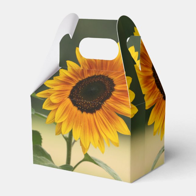 Caja de Favor Orgánica del Girasol de Verano (Reverso)
