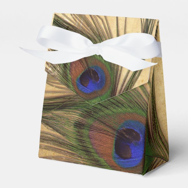 Caja de favores de boda Rustic Peacock Feather (Front Side)