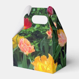 Caja de favoritas del tulipán de primavera
