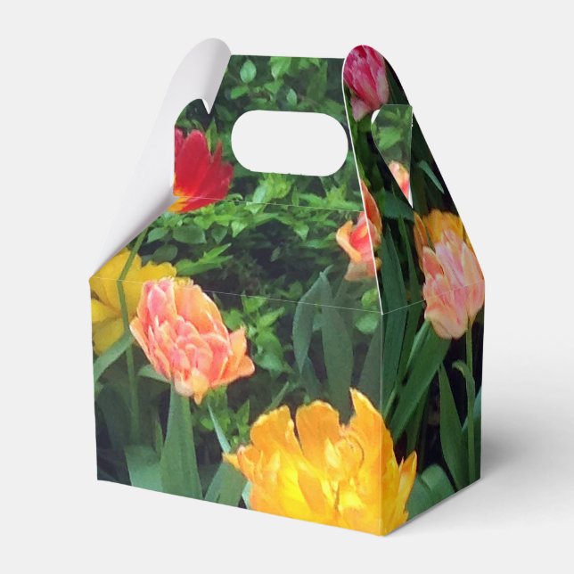 Caja de favoritas del tulipán de primavera (Front Side)