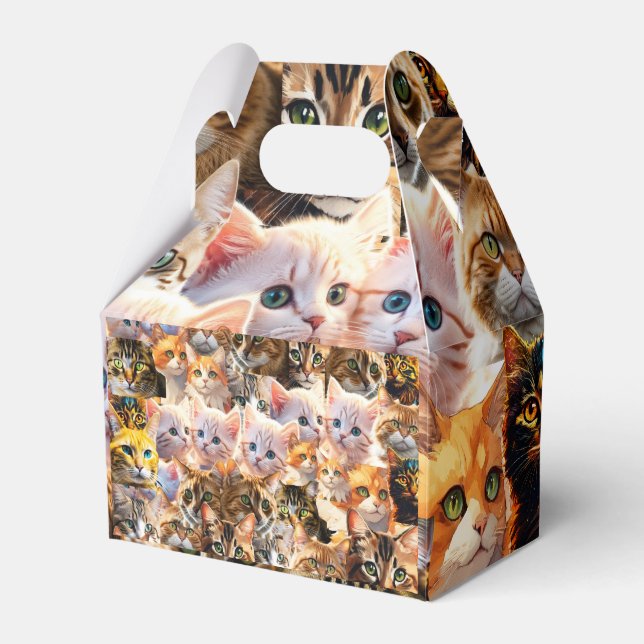 Caja de favoritos (Front Side)