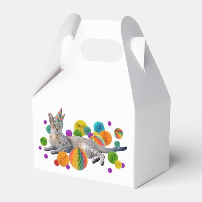 Caja de favoritos de gato del fiesta (Reverso)