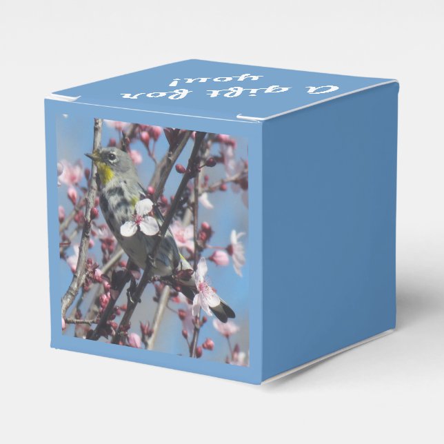 Caja de favoritos - Resplandor en árbol de ciruela (Costado Anverso)