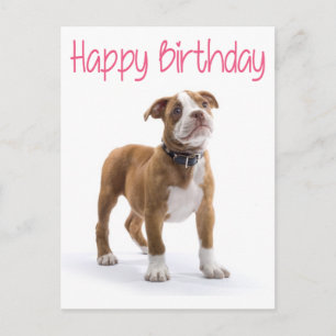 Caja de Feliz Cumpleaños Perro Boxer Tarjeta Posta