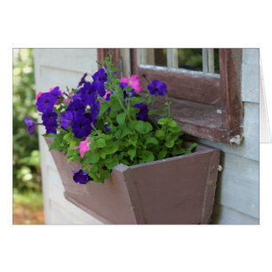 Caja de la flor del verano - tarjeta en blanco