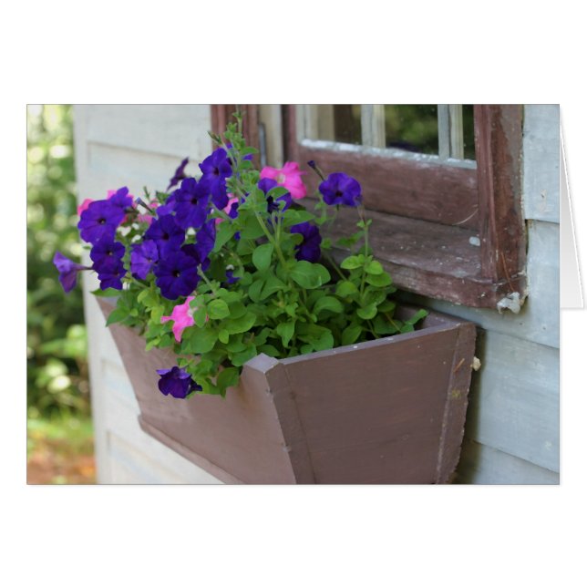 Caja de la flor del verano - tarjeta en blanco (Anverso (Horizontal))