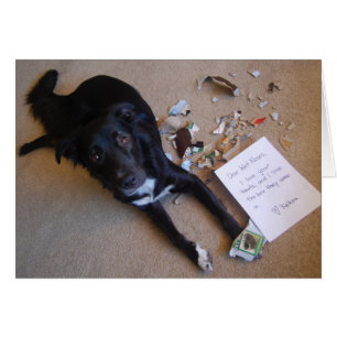 Caja. == de la situación destruido